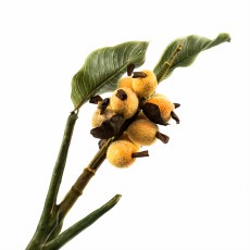 Gałązka Ginger Żółty Wys. 90cm