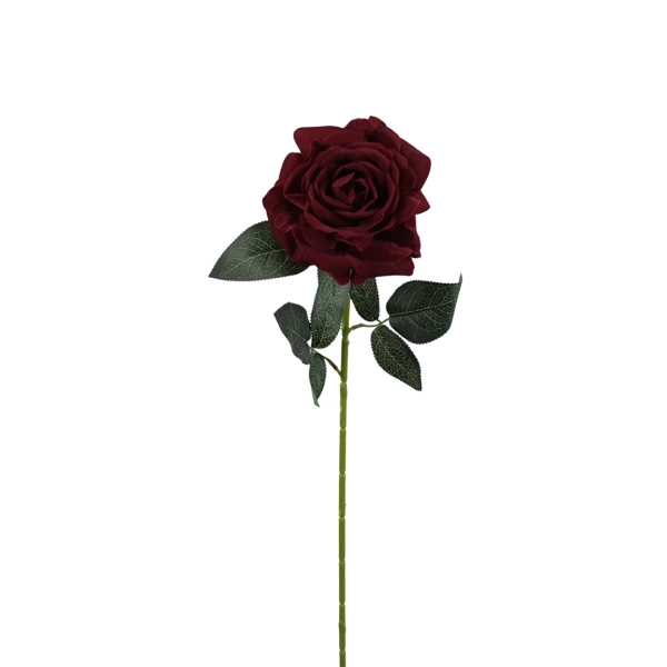Róża Welurowa Bordowa Wys. 70cm