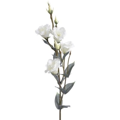 Eustoma Biała Wys. 83cm 3