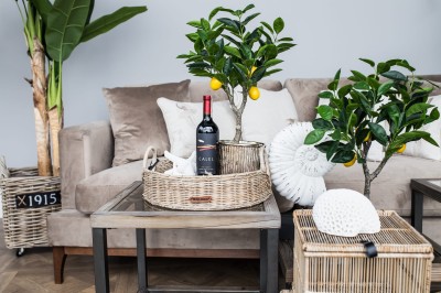 Poduszka Haftowana Dekoracyjna Costal Rope - Różne Kolory Tkanin 4