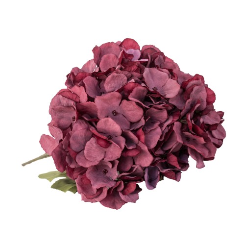Bukiet hortensji w odcieniach burgundowym, wysokość 48 cm. Kwiaty o delikatnych płatkach, gęsto zebrane, z zielonymi liśćmi w dolnej części. Ujęcie frontalne, prezentujące pełną objętość bukietu na białym tle.