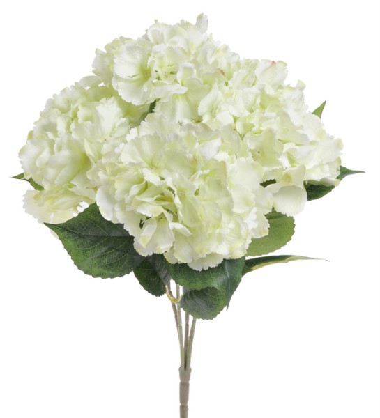 Bukiet Hortensji Pistacjowych Wys.48cm