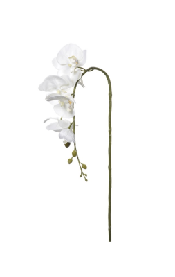 Kwiat Storczyk Biało-Kremowy Wys. 90cm 2