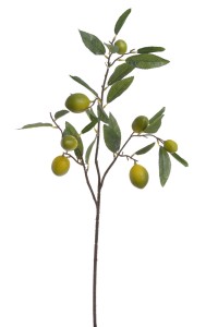 Gałązka z Cytrynkami Zielonymi Wys. 86cm