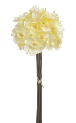 Bukiet Żonkili  Jasno Żółtych Wys. 40cm