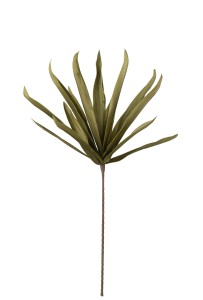 Sukulent Zielony Wys. 90cm