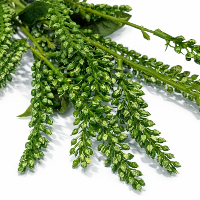 Gałązka Zielona Japonica Zielony 105cm 3