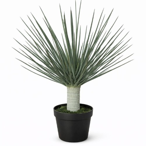 Yucca o wysokości 110 cm, z długimi, wąskimi, zielonymi liśćmi, wyrastającymi z białego pnia. Roślina umieszczona w czarnym, okrągłym doniczce z zieloną, sztuczną trawą w podstawie. Ujęcie frontalne.