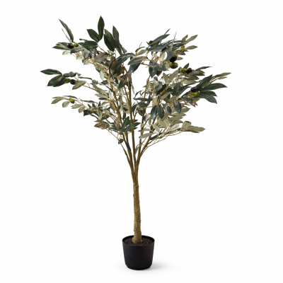 Drzewko Oliwne Wys. 135cm