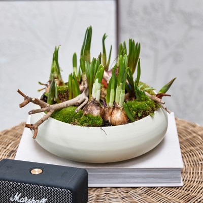 Misa Clement Riviera Maison 3