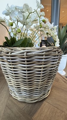 Donica Osłonka Rattanowa Palermo Wys. 35cm 5