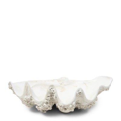 Dekoracja Muszla Shell Oceanis M Rivierea Maison 2