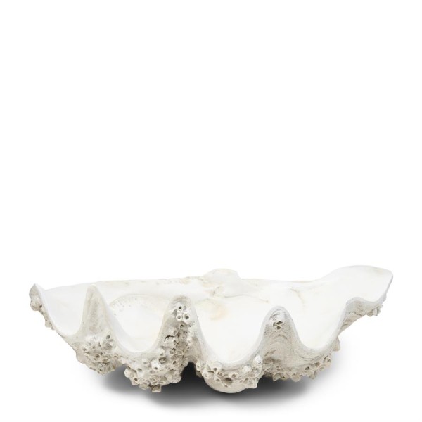 Dekoracja Muszla Shell Oceanis M Rivierea Maison