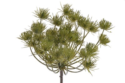 Ozdobna Gałązka Koper Zielony Wys. 76cm   3