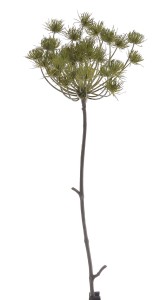 Ozdobna Gałązka Koper Gigant Zielony Wys. 76cm