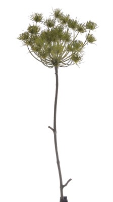 Ozdobna Gałązka Koper Zielony Wys. 76cm  