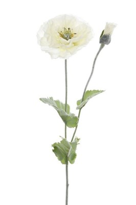 Mak Biały Wys. 80cm