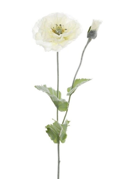 Mak Biały Wys. 80cm