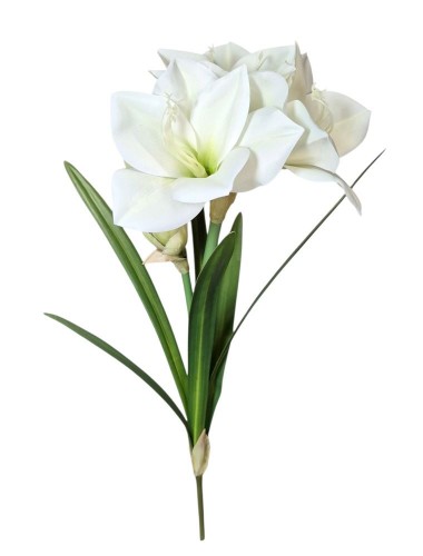 Kwiat Amarylis Biały Wys. 60cm