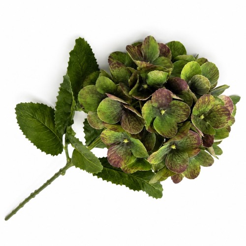 Hortensja Zielona Autuumn Wys. 68cm