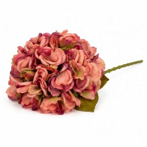 Hortensja Jesienna Paryski Róż Wys. 50cm 