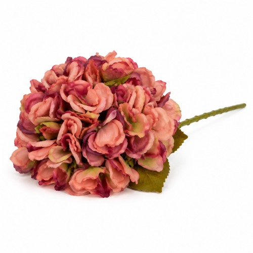 Hortensja Jesienna Paryski Róż Wys. 50cm