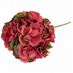 Hortensja Jesienna  Paryskie Bordo Wys. 50cm