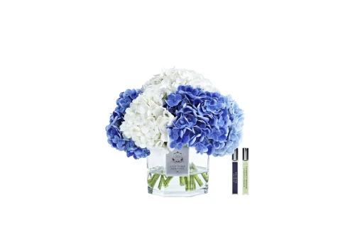 Bukiet Perfumowanych Hortensji Niebieskich Cote Noire