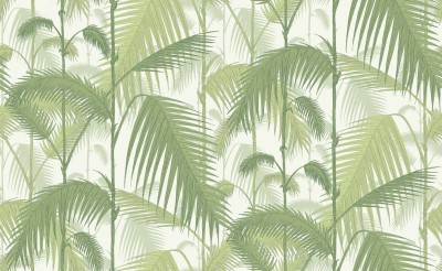 Tapeta Cole and Son Palm Jungle Green/White 2