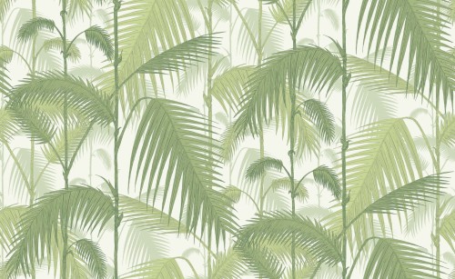Tapeta Cole and Son Palm Jungle w kolorze zielonym i białym, z dużymi palmami o delikatnych liściach. Wzór przedstawia gęste, tropikalne rośliny na jasnym tle, tworząc wrażenie głębi i naturalności.