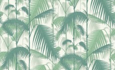 Tapeta Cole and Son Palm Jungle Emerald/White