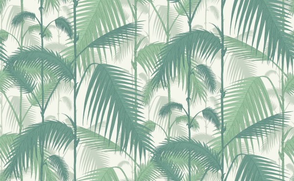 Tapeta Cole and Son Palm Jungle Emerald/White