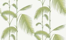 Tapeta Cole and Son Palm Leaves Green/White