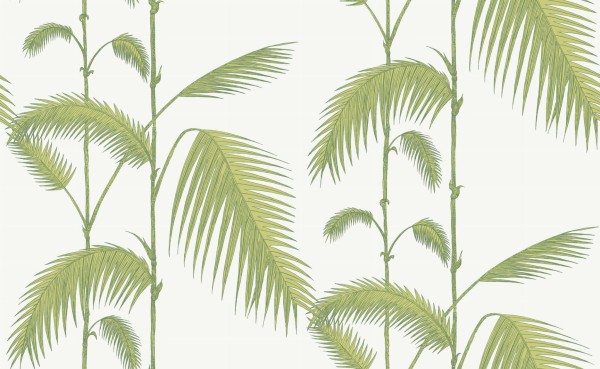 Tapeta Cole and Son Palm Leaves Green/White