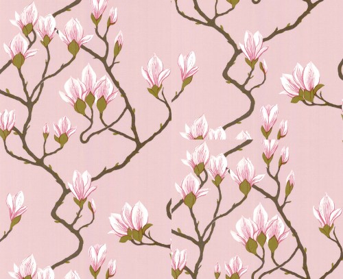 Tapeta Cole and Son Magnolia Pink z różowym tłem, pokryta delikatnymi gałązkami magnolii w jasnych odcieniach różu i zieleni. Kąt ujęcia frontalny, ukazujący pełen wzór tapety bez dodatkowych elementów na tle.