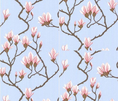 Tapeta Cole and Son Magnolia Blue w pastelowym błękitnym tle z wizerunkiem różowych kwiatów magnolii na brązowych gałęziach. Kąt ujęcia: rozłożony w całości, pokazujący szczegóły wzoru. Idealna do stylowych wnętrz.
