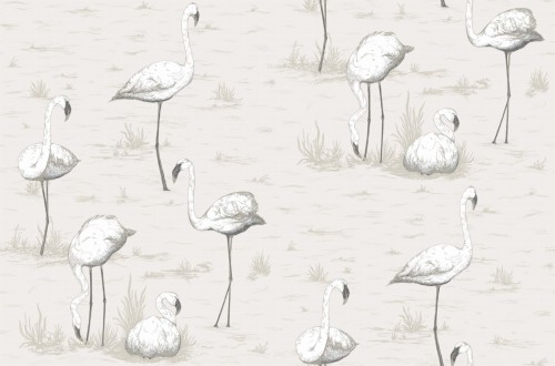 Tapeta Cole and Son Flamingos w kolorze białym i pudrowym szarym, z motywem flamingów w różnych pozach na tle o delikatnej teksturze. Grafika przedstawia flamingi stojące i siedzące, otoczone trawą, w eleganckim, subtelnym wzorze.