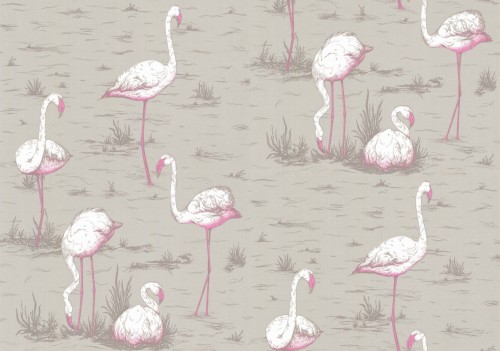 Tapeta Cole and Son Flamingos White/Grey z różowymi flamingami na szarym tle. Ptaki w różnych pozach wśród roślin, wzór graficzny bez dodatkowych ozdób.