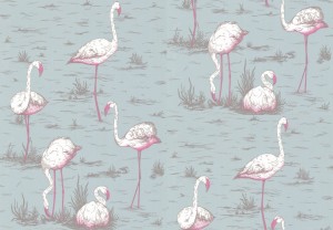 Tapeta Cole and Son Flamingos White/Blue
