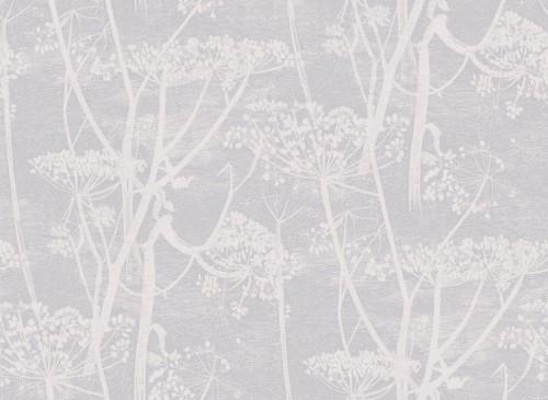 Tapeta Cole and Son Cow Parsley w kolorze białym i jasnoszarym z motywem delikatnych gałązek i kwiatów, w stylu graficznym na jednolitym tle, bez dodatkowych dekoracji.