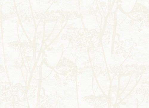 Tapeta Cole and Son Cow Parsley w odcieniach beżu i bieli, przedstawiająca delikatny wzór rośliny. Tło matowe, z subtelną fakturą. Produkt rozłożony na prostym, jasnym tle. Idealna do aranżacji wnętrz w stylu klasycznym lub skandynawskim.