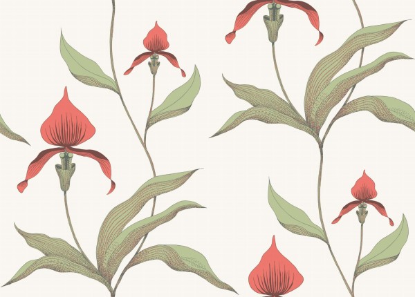 Tapeta Cole and Son Orchid Rouge/Olive/Parchment