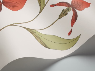 Tapeta Cole and Son Orchid Rouge/Olive/Parchment 3