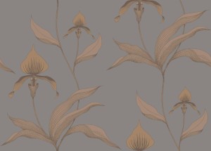Tapeta Cole and Son Orchid Copper/Grey
