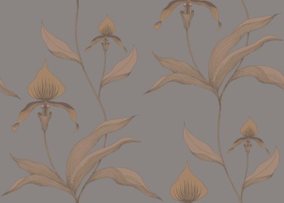 Tapeta Cole and Son Orchid Copper/Grey 2