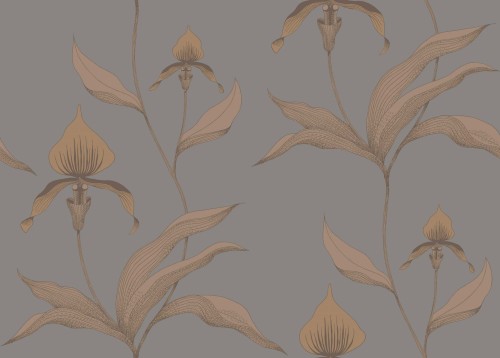 Tapeta Cole and Son Orchid w odcieniach miedzi i szarości, z motywem orchidei i liści. Wzór przedstawia szczegółowe, delikatne kwiaty na gładkim, szarym tle, tworząc elegancki i subtelny efekt.