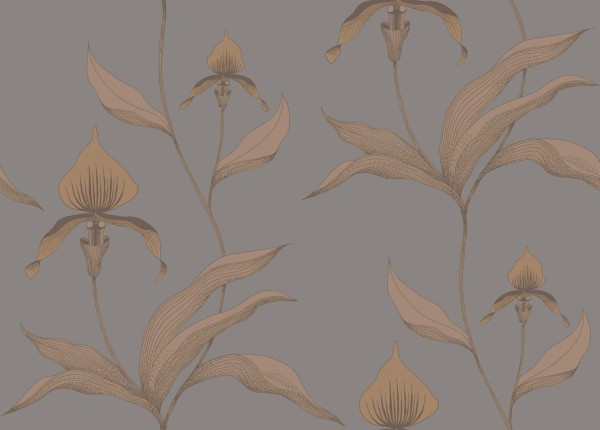 Tapeta Cole and Son Orchid Copper/Grey