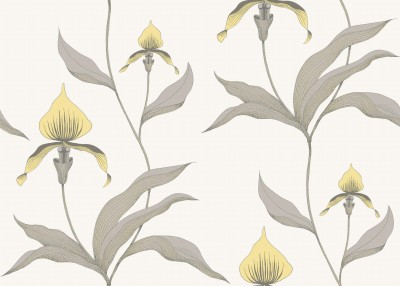 Tapeta Cole and Son Orchid Lemon/Grey/Chalk 2