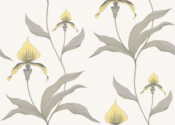 Tapeta Cole and Son Orchid Lemon/Grey/Chalk