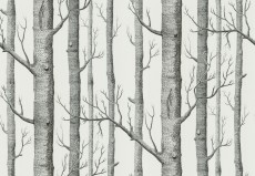 Tapeta Cole and Son Woods Black/White